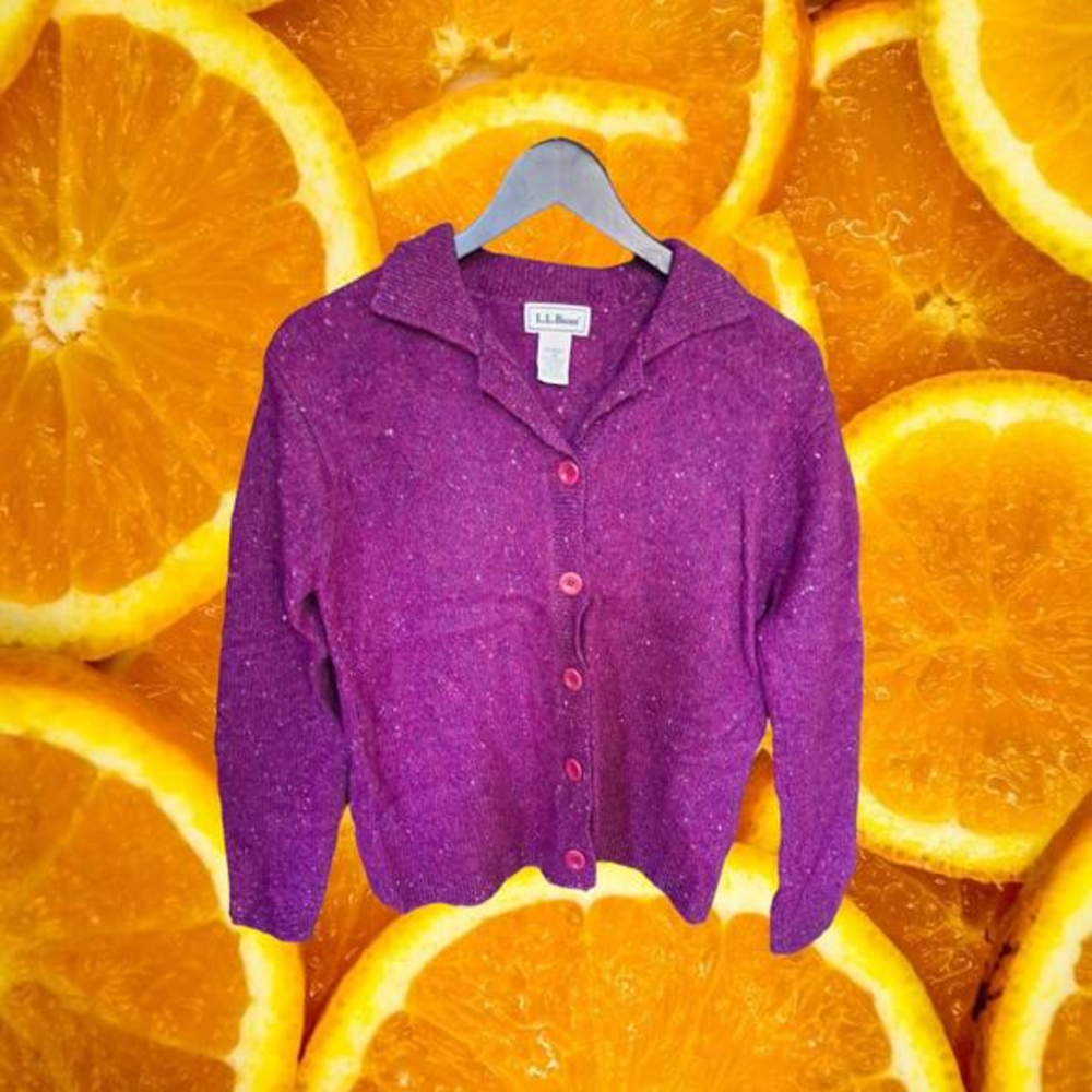 L.L.‎ Bean Burple Button Up Collared Sweater